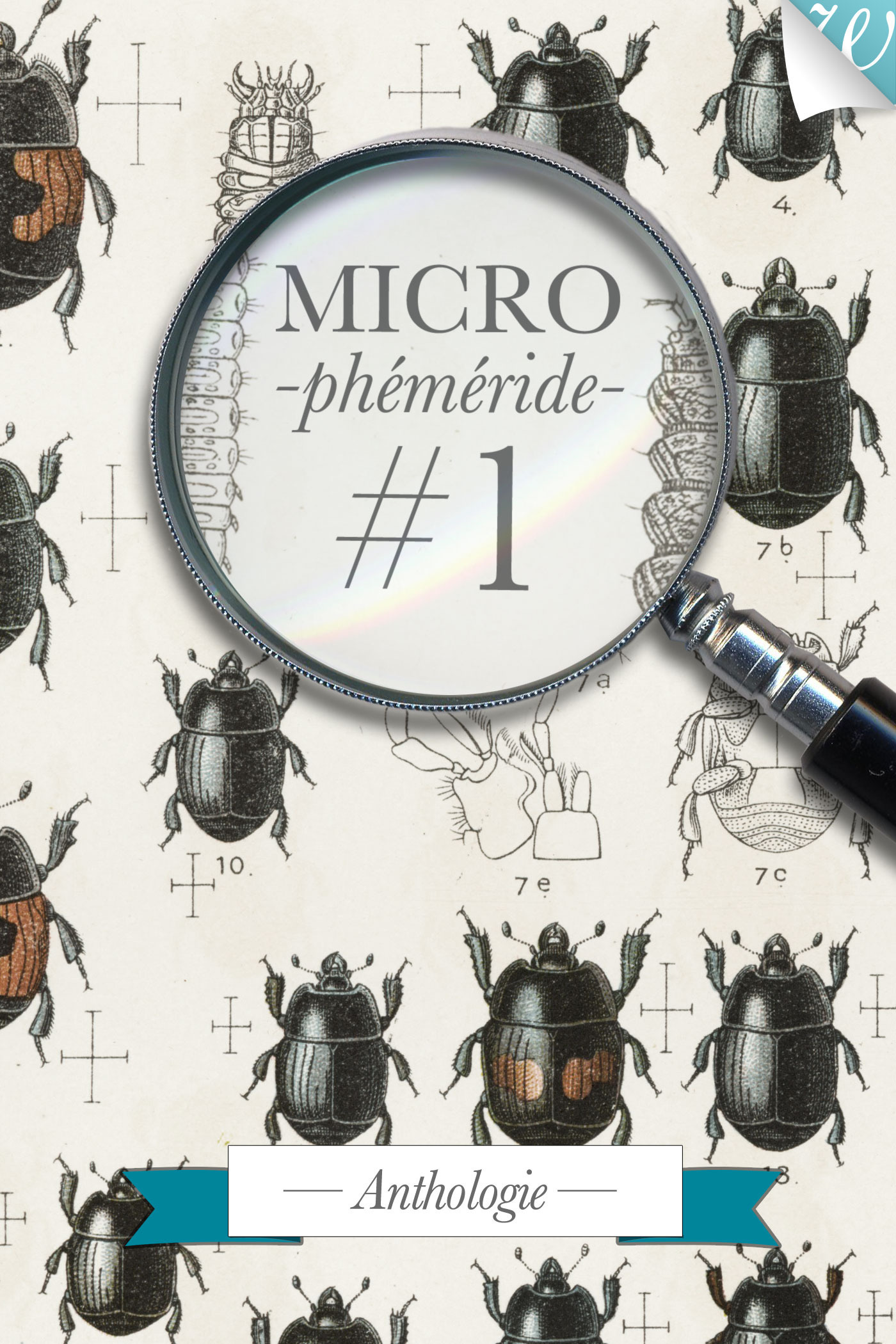 Microphéméride #1 - L'Équipe De La Microphéméride