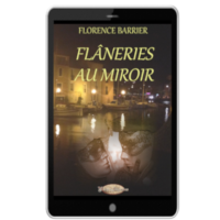 flaneries_au_miroir_ebook