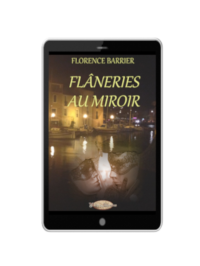 flaneries_au_miroir_ebook